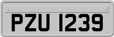 PZU1239