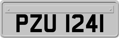 PZU1241