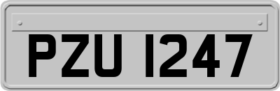 PZU1247