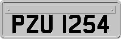 PZU1254