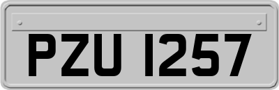 PZU1257