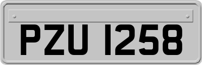 PZU1258