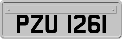 PZU1261