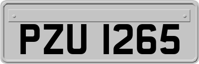 PZU1265