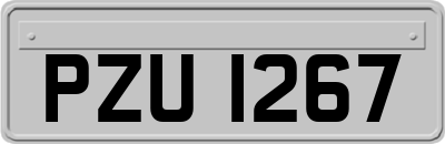 PZU1267