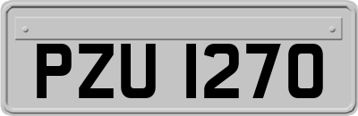 PZU1270