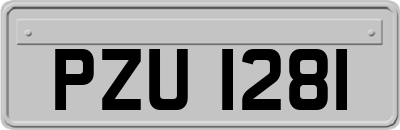 PZU1281