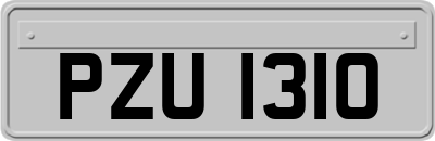PZU1310