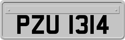 PZU1314