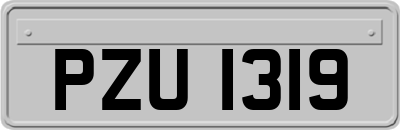 PZU1319