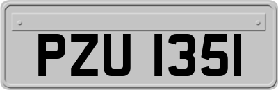 PZU1351
