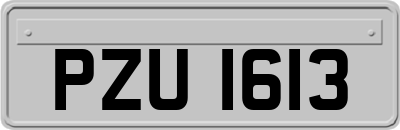 PZU1613