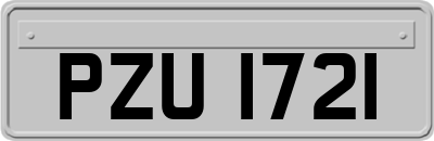 PZU1721