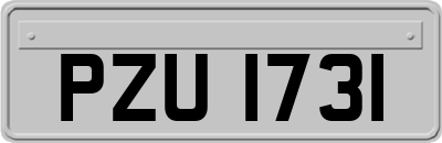 PZU1731