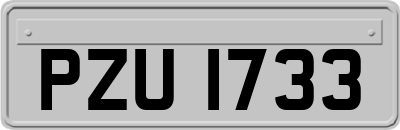 PZU1733