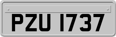 PZU1737