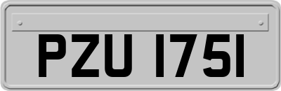 PZU1751