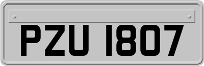 PZU1807