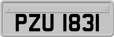 PZU1831