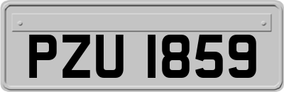 PZU1859