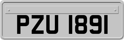 PZU1891