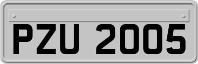 PZU2005