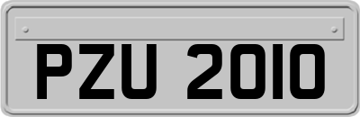 PZU2010