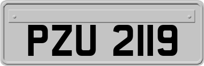 PZU2119