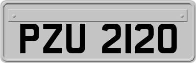 PZU2120