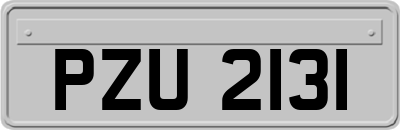 PZU2131