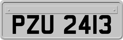 PZU2413