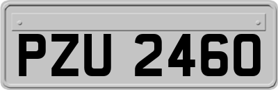 PZU2460