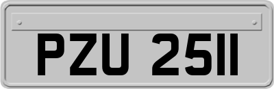 PZU2511