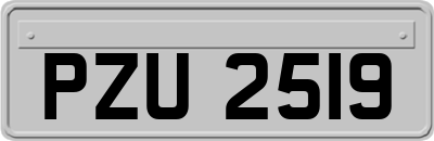 PZU2519