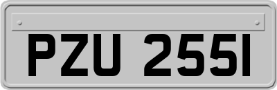 PZU2551