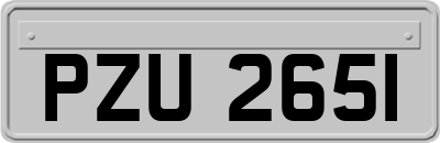 PZU2651