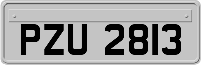 PZU2813