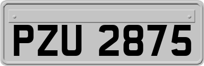 PZU2875