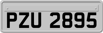 PZU2895