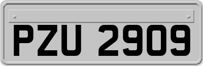 PZU2909