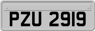 PZU2919