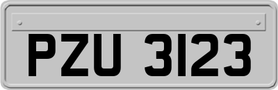 PZU3123