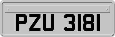 PZU3181