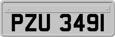 PZU3491