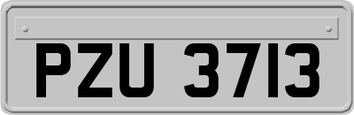 PZU3713