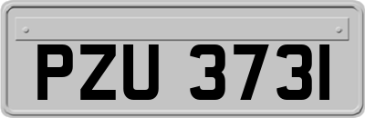 PZU3731