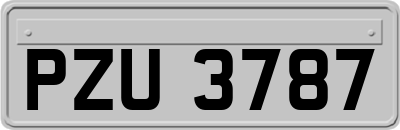 PZU3787