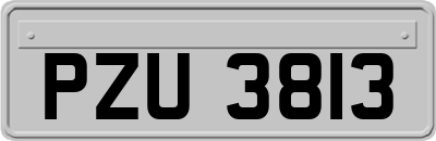 PZU3813