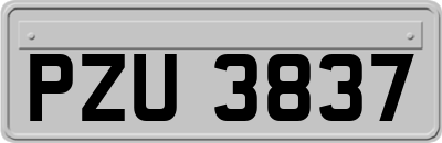 PZU3837