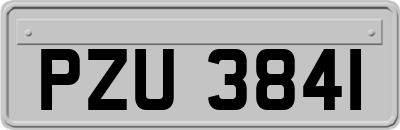 PZU3841